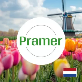 Pracownik magazynu przy sortowaniu paczek (Zwolle)