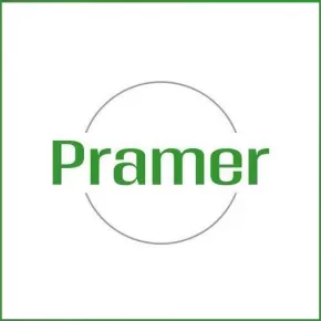 Pracownik produkcji sałatek | fajna praca, od zaraz