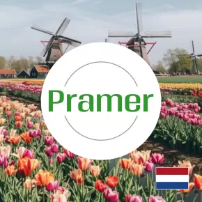 Pracownik sortowni jajek  - brak wymagań  - praca w Holandii